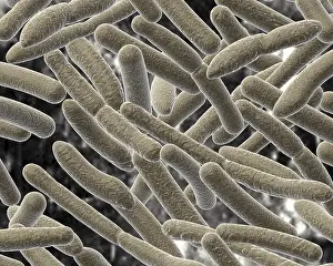 Blurred Background Prints: Bacillus on blurred background