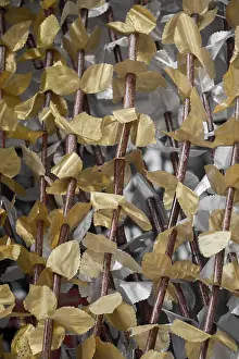 Abstract Background Texture Prints: Backdrop and backgrounds texture details in abstract form