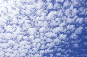Fleecy Cloud Formation Prints: Background from a cloud formation of fleecy clouds in the summer sky
