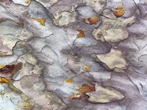 Eroded Sandstone Landscape Prints: Background, color pattern in sandstone