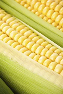 Deserted Breakfast Scene Prints: Background from corn cobs closeup