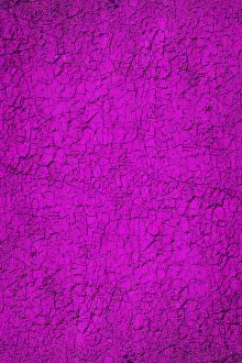 Pink Background Prints: Background pink wall