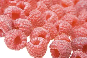 Fresh Fruit Photography Prints: Background of raspberry