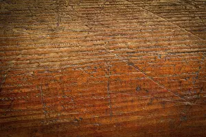 Grunge Wood Background Prints: Background texture of grained, scratched