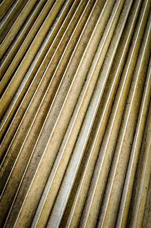 Full Frame Background Image Prints: Background Texture Of Old Palm Tree Leaf