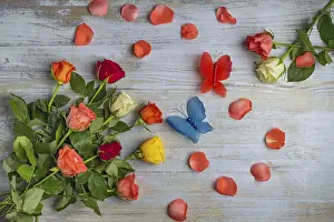 Valentine's Day Background Prints: Background, Valentine's day
