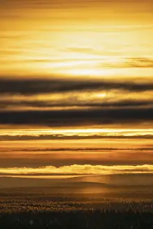 Scandinavian Landscapes Prints: Backlight over vast forest area