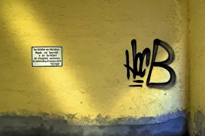 Germany Urban Environment Prints: Backyard with graffiti, Schwabing
