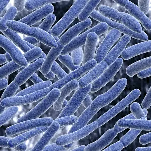 Risk Of Infection Prints: Bacteria