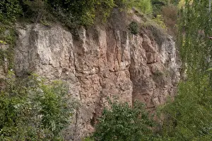 Natural Monument In Germany Prints: Bad Kostritz, Greiz, Pohlitz