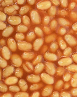 Close Up Bean Images Prints: Baked beans
