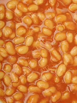 Studio Shot Breakfast Dish Prints: Baked Beans