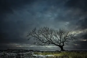 Dramatic Cloud Sky Prints: Bald tree on rocky ground with dramatic cloud sky