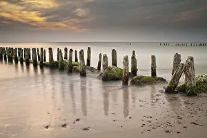 Baltic Seaside Resort Ahrenshoop Prints: On the Baltic coast
