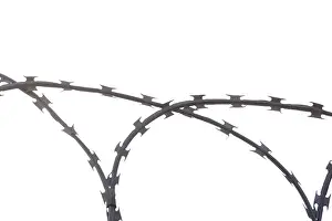 Captive Animal Prints: Barbed wire