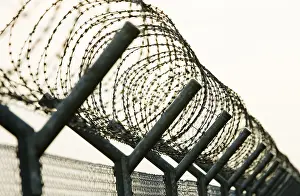 Barbed Wire Fence Prints: Barbed wire