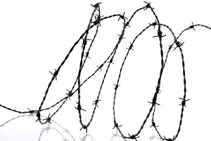 Barbed Wire Fence Prints: Barbed wire