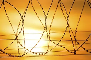 Barbed Wire Sunset Prints: Barbed wire in the foreground at sunset