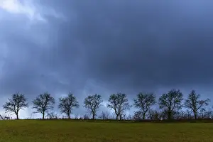 Central Europe Deserted Landscapes Prints: Bare fruit trees, rain-grey sky