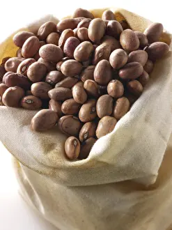 Studio Food Photography Prints: Barlotti beans