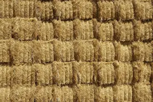 Deserted Barn Prints: Barn with square shape stack on columns outdoor cereal texture