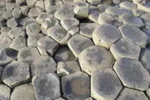 Northern Ireland Geology Prints: Basalt columns, Giant's Causeway
