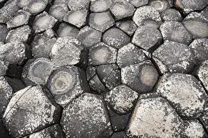 Rocky Coastline UK Prints: Basaltic rocks, hexagons seen from above