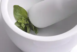 Fresh Basil Prints: Basil in mortar