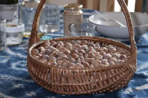 Indoor Still Life Photography Prints: Basket full of hazelnuts on the table