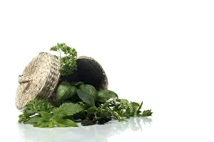 Nature Botany Images Prints: Basket with herbs