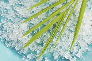 Deserted Bathroom Prints: Bath salt and palm leaf