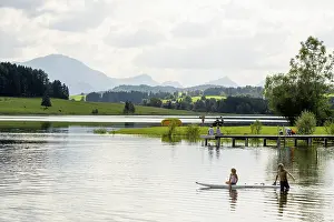 Artificial Lake Germany Prints: Bathing area at the Forggensee