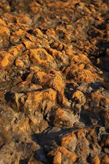 Beach Landscape Photography Prints: Detail from a beach