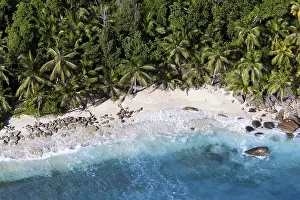 Indian Ocean Shoreline Prints: The beach Anse Cachee at Pointe Golette