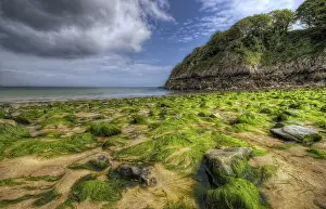 Northern Europe Beach Scenes Prints: On the beach at Barafundle Bay