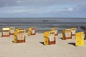 Coastal Area Lower Saxony Germany Prints: Beach chairs on sandy beach, at back mudflat strollers