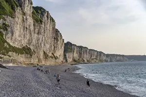 Normandy Coastline Prints: Beach and cliffs of Fecamp