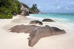 African Coastal Landscape Prints: Beach and granite rocks at Anse Source d'Argent