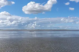 Northern Germany Coastline Prints: Beach at low tide, mudflat walker