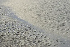 Northern Germany Shoreline Prints: Beach at low tide with wave-like pattern