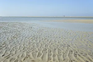North Sea Island Landscape Prints: Beach at low tide with wave-like structure