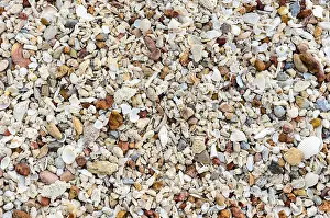 Uninhabited Shoreline Landscape Prints: Beach with many old shells and multi-colored stones