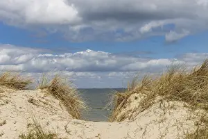 Baltic Sea Coastline Prints: Beach path