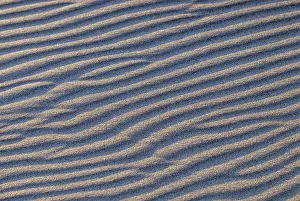 Pacific Ocean Beach Prints: Beach, Sand, Pattern, Wind, Sea