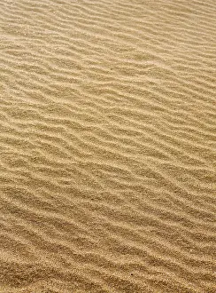 Uninhabited Coastal Landscape Prints: Beach sand waves warm texture pattern background