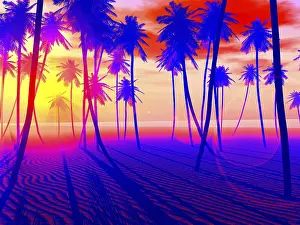Beach Sunset Prints: Beach and sunset