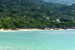 Deserted Brazilian Beaches Prints: Beach surrounded by forest in Trindade