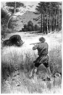 Vintage Engraved Illustration Prints: The beast, wounded only, returns to him