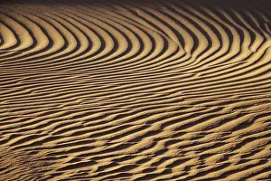 North African Desertscape Prints: Beautiful sand dune pattern background in wind