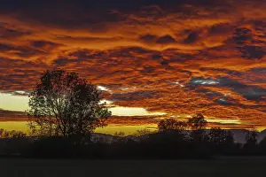 Cloudy Sky With Setting Sun Prints: A beautiful sunset with a tree in the background